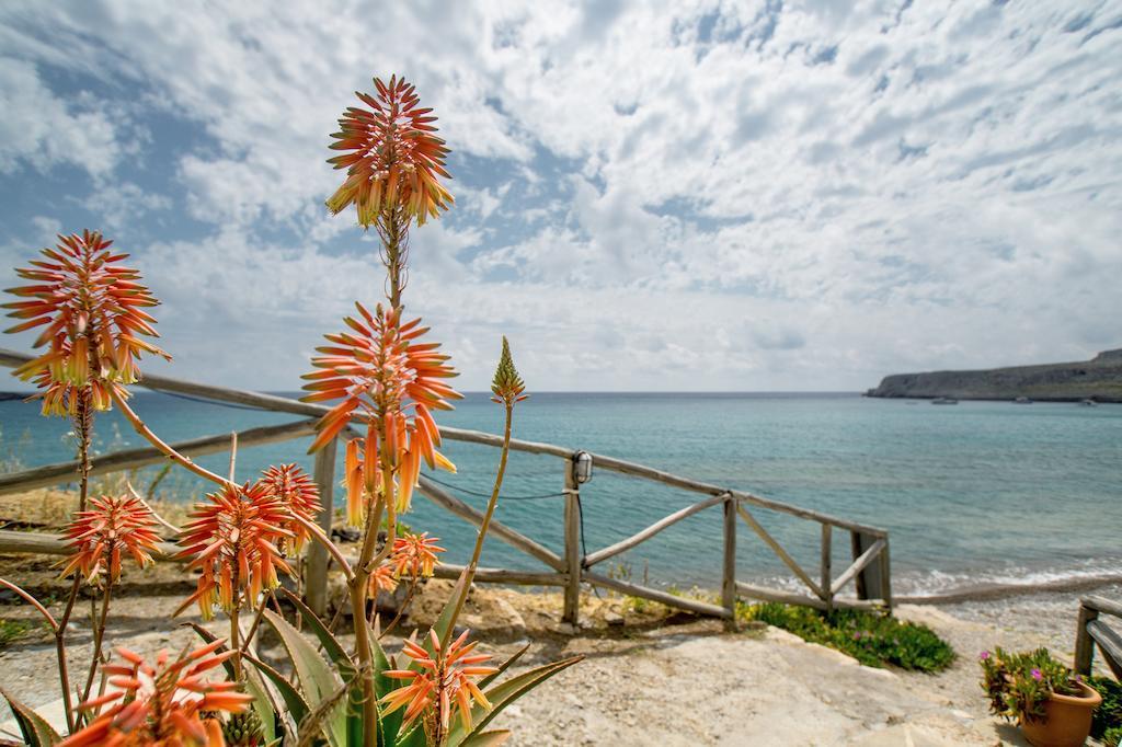 Coral Front Beach Káto Zákros Стая снимка